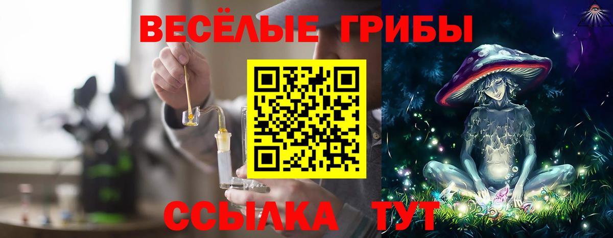 Алексин  Псилоцибиновые грибы Psilocybe  Вход с VPN 